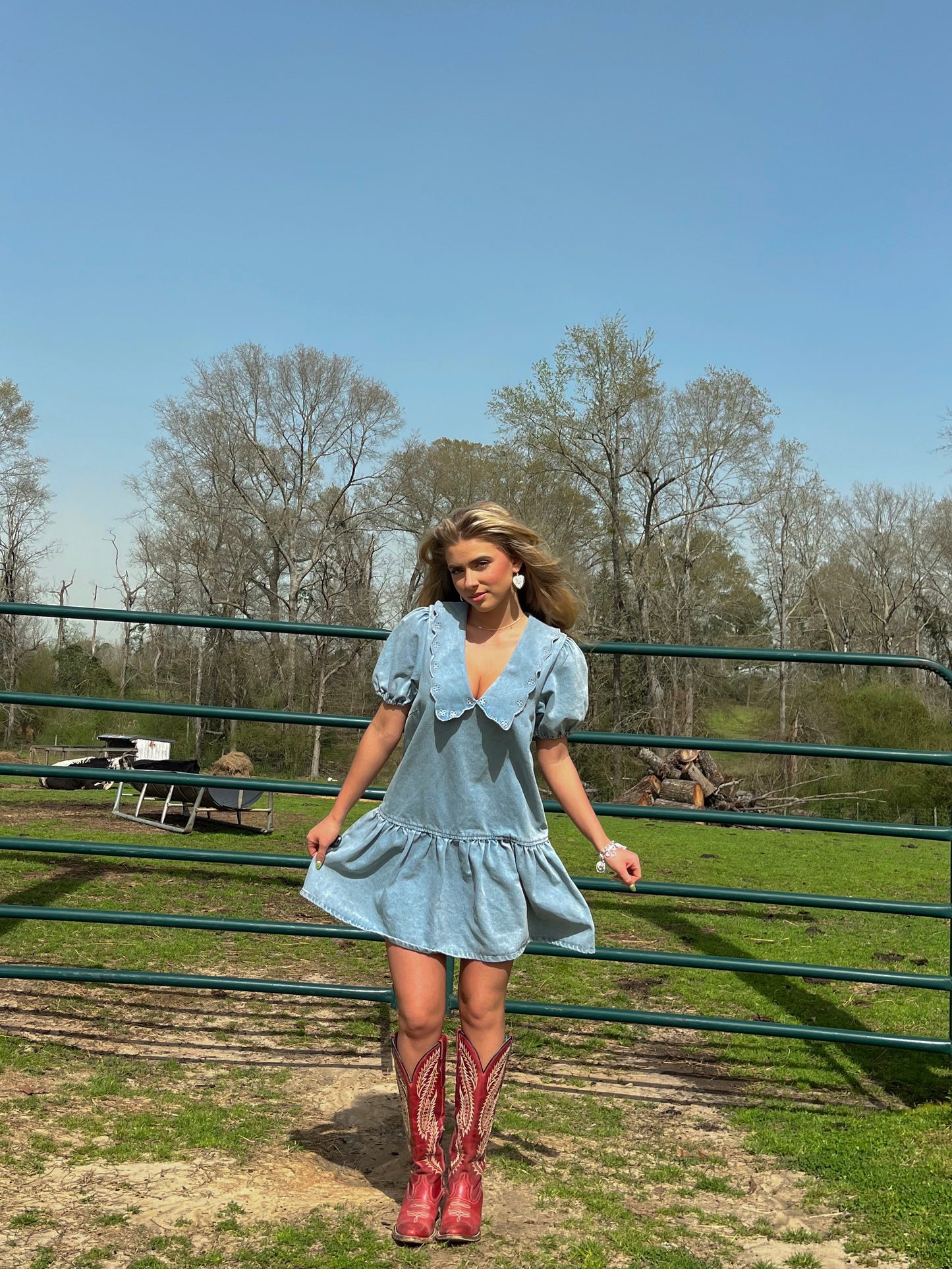 Ditsy Denim Dress