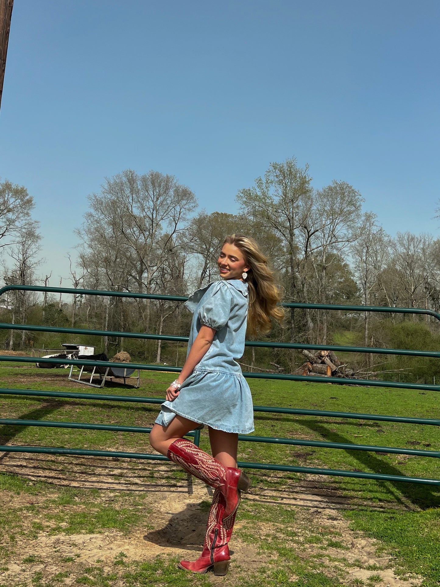 Ditsy Denim Dress