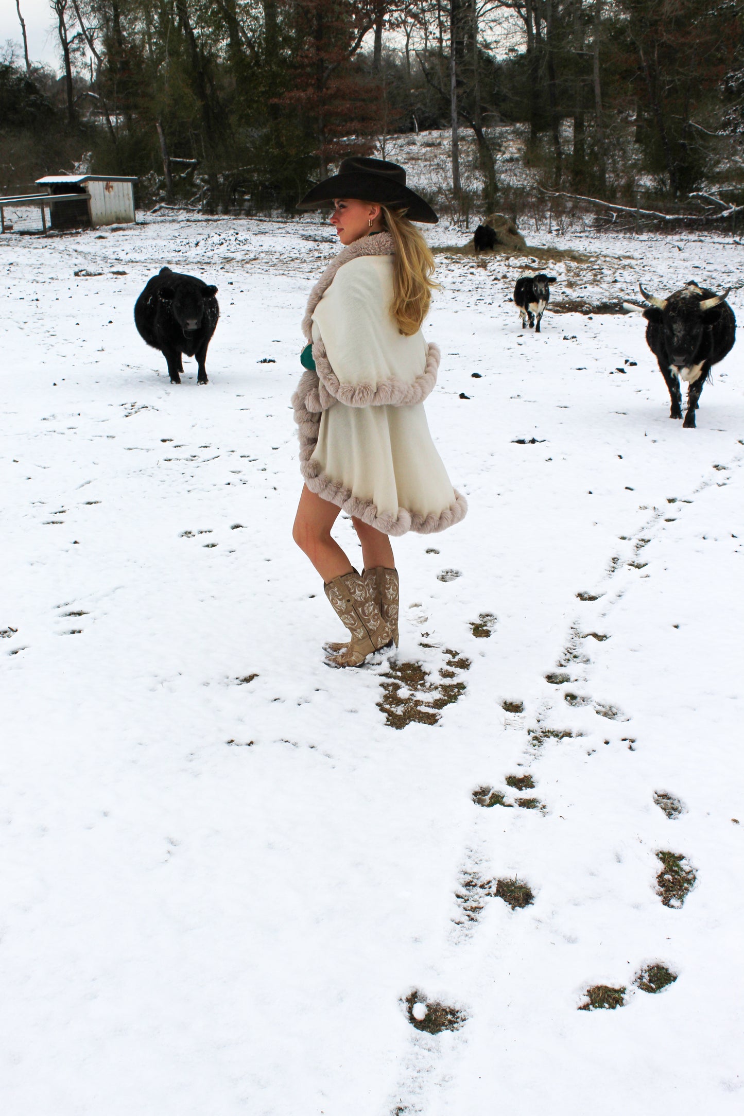 Western Plains Faux Fur Shawl