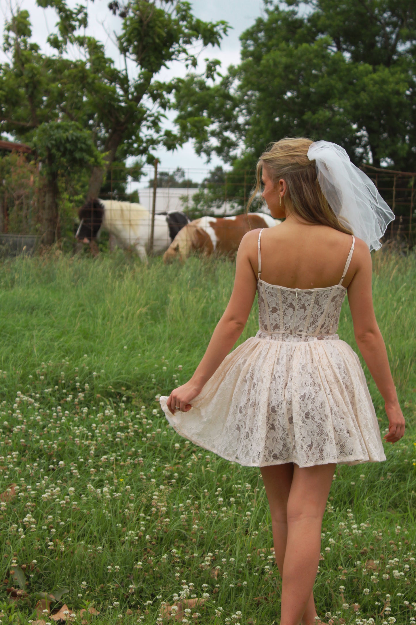 Enchanted Lace Dress