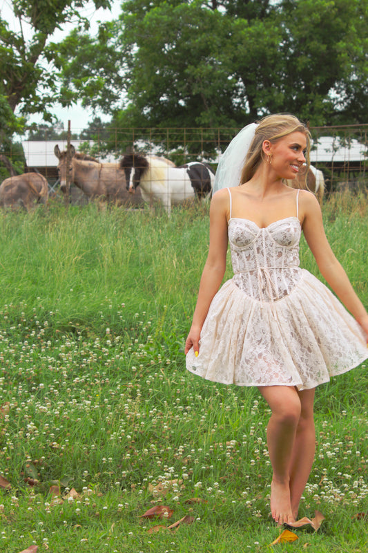 Enchanted Lace Dress