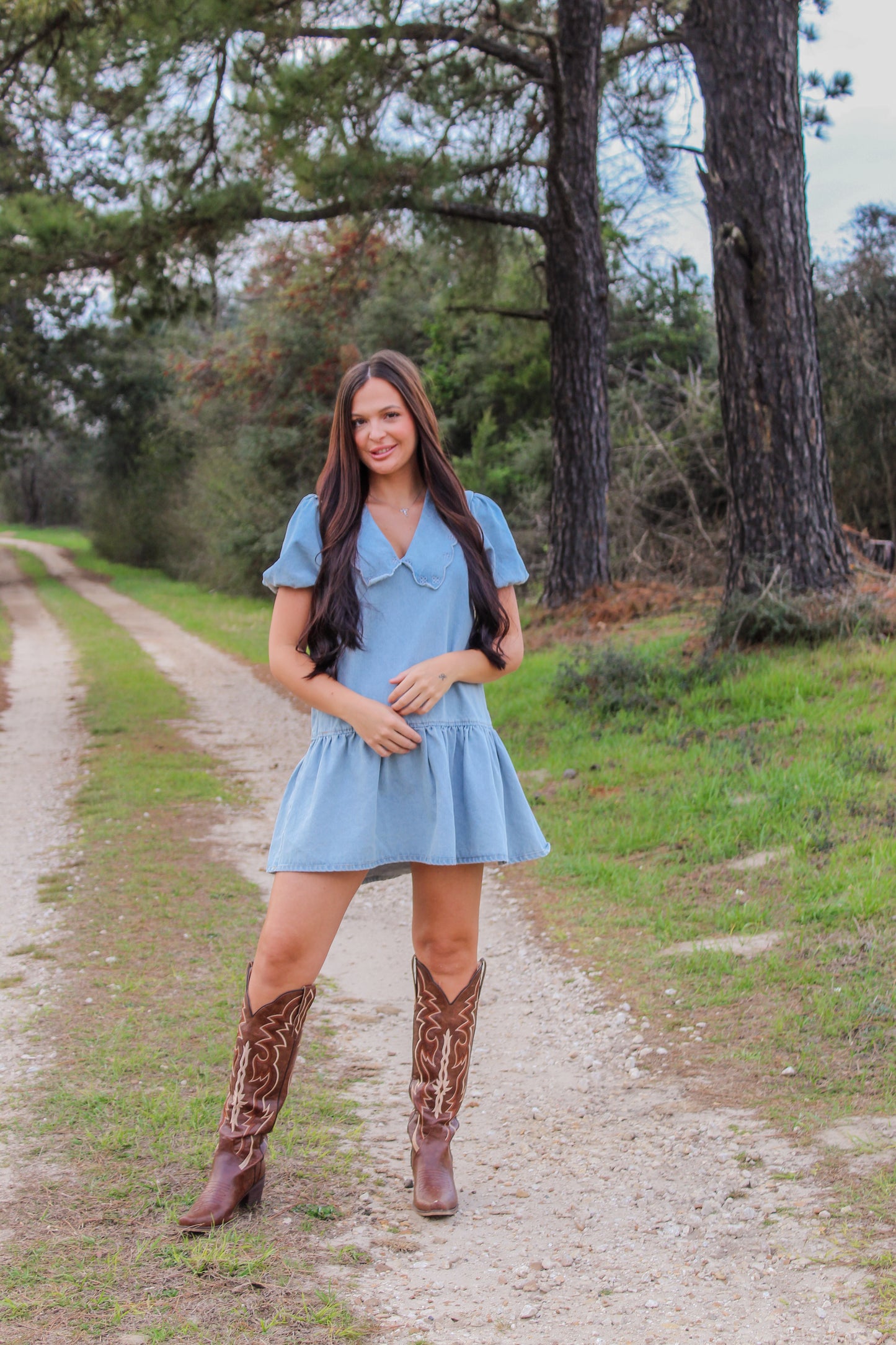 Ditsy Denim Dress