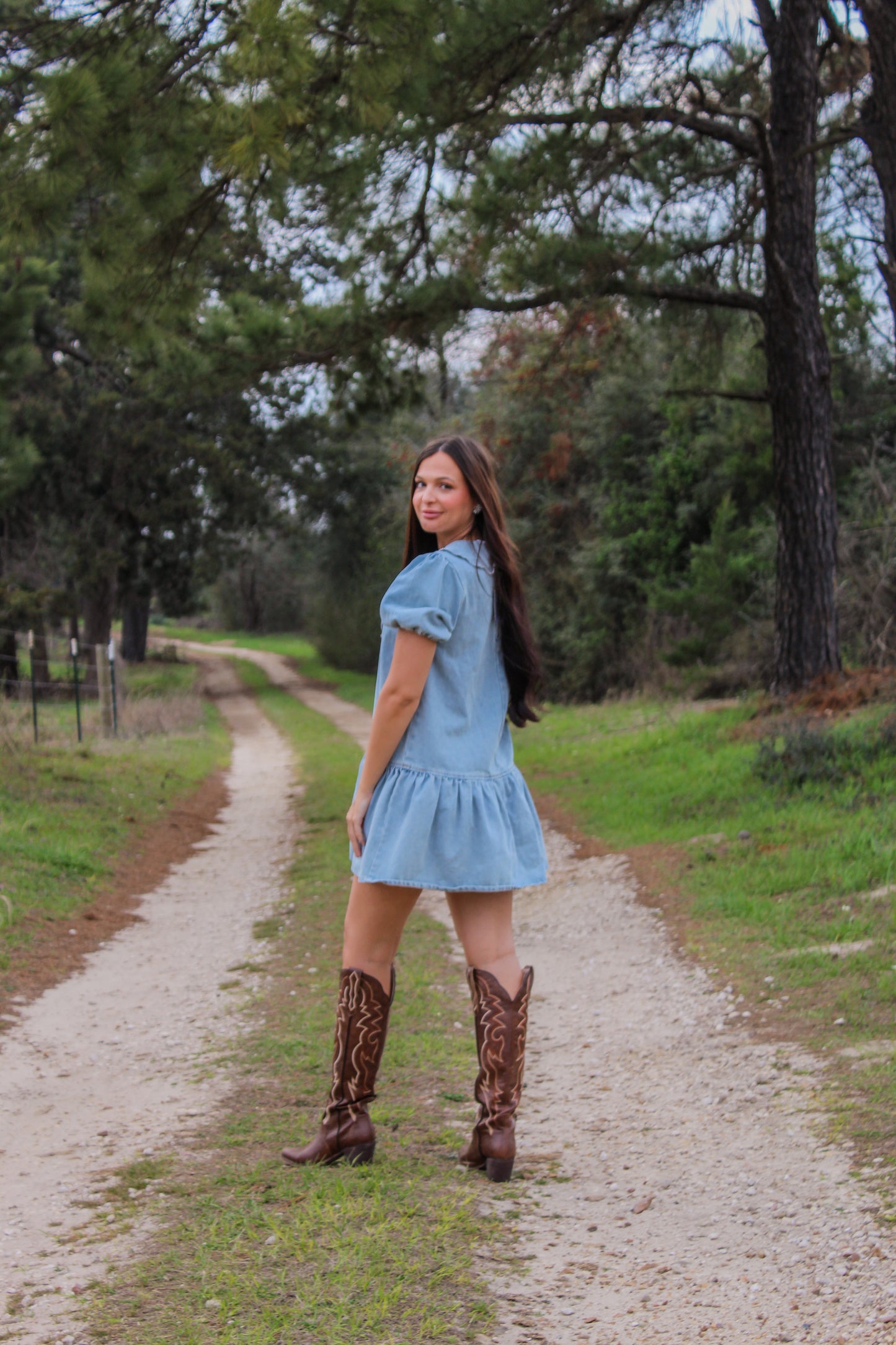 Ditsy Denim Dress
