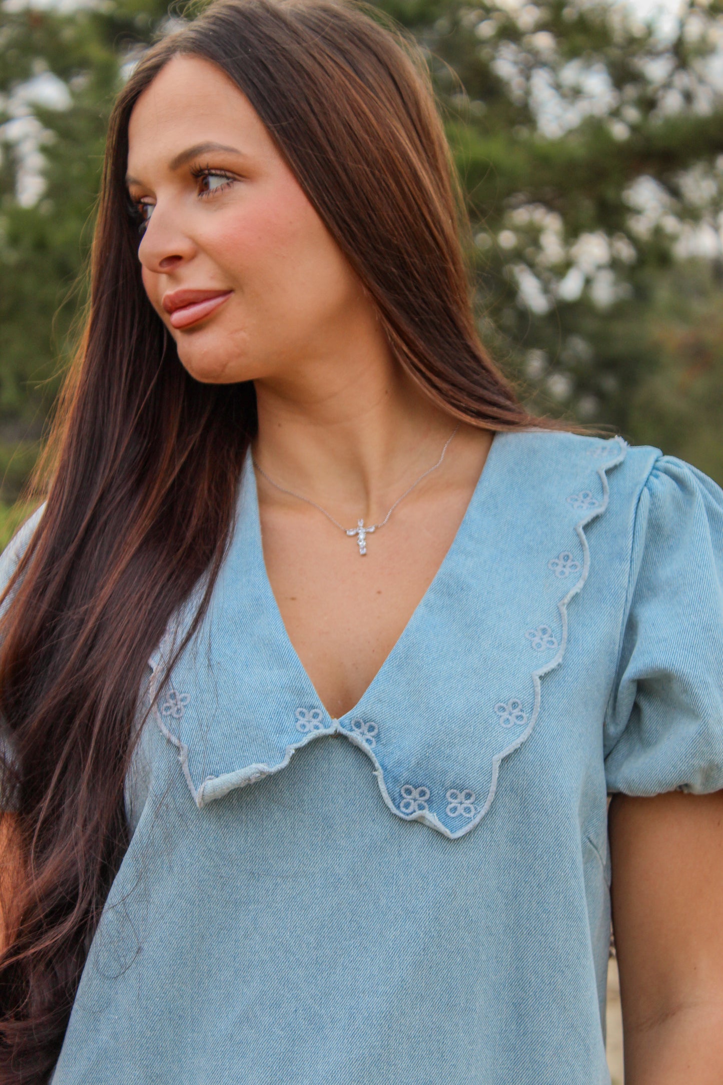 Ditsy Denim Dress